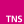 Website TNS NIPO